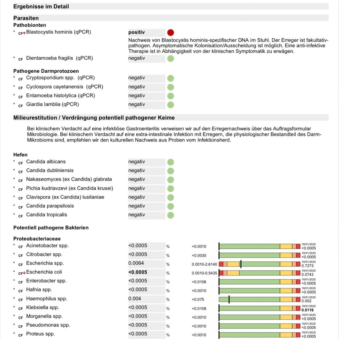 Stuhlanalyse - Mikrobiom