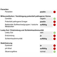 Stuhlanalyse - Mikrobiom